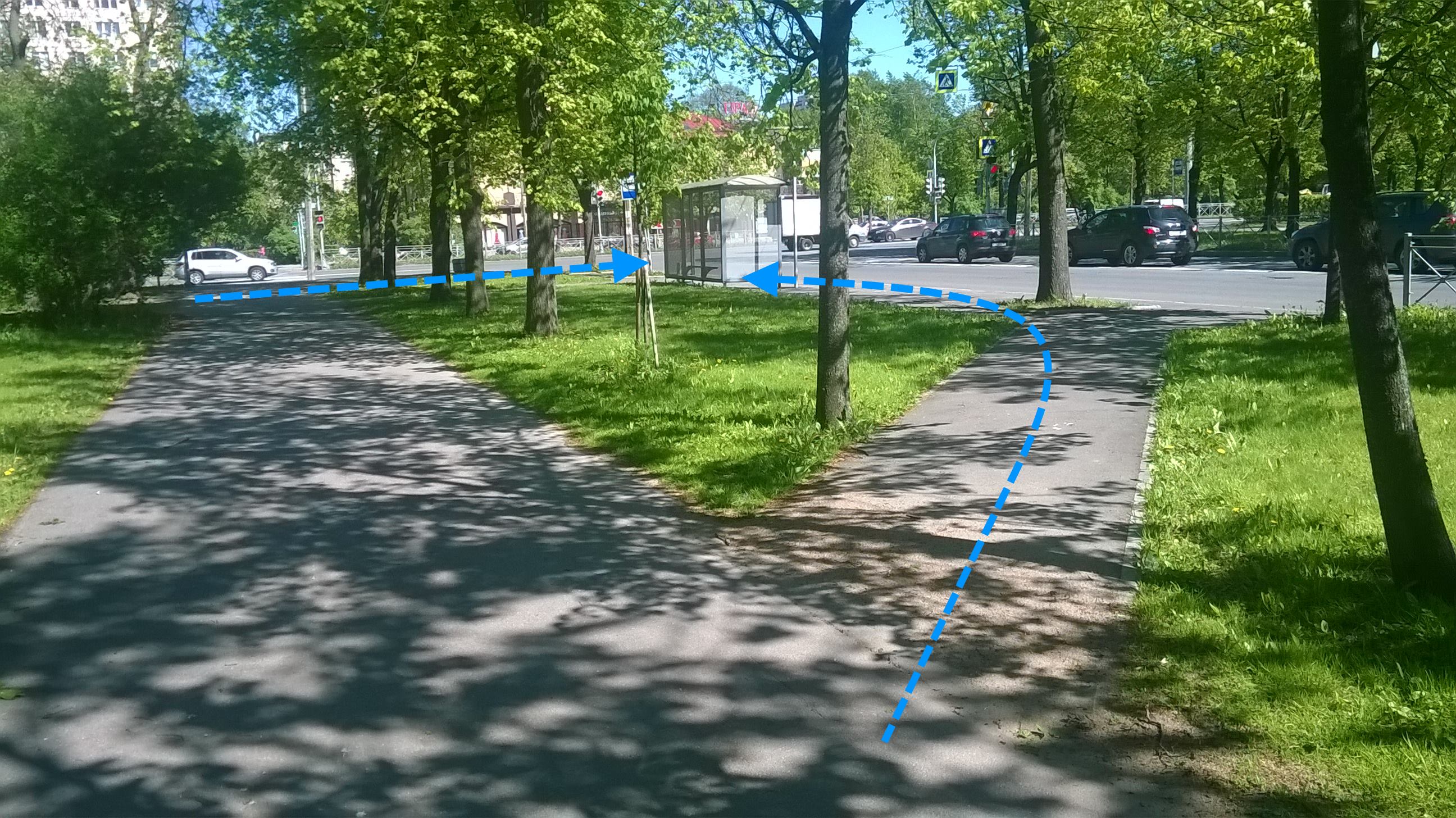 WP_20170604_002.jpg